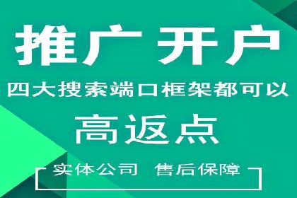 百度广告投放策略：成功案例解析